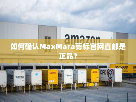 如何确认MaxMara剪标官网直邮是正品？