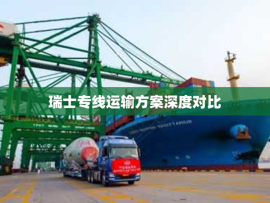 瑞士专线运输方案深度对比 瑞士专线运输方案深度对比