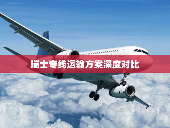 瑞士专线运输方案深度对比 瑞士专线运输方案深度对比