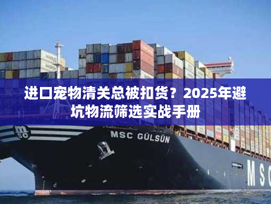 进口宠物清关总被扣货？2025年避坑物流筛选实战手册