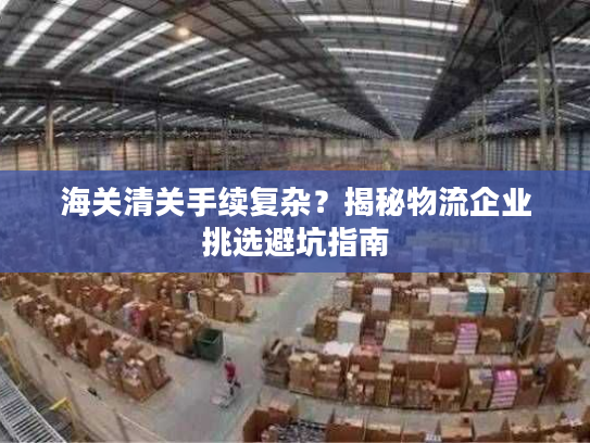 海关清关手续复杂？揭秘物流企业挑选避坑指南