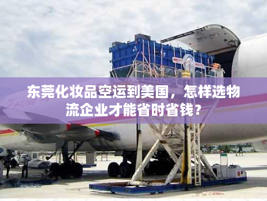 东莞化妆品空运到美国，怎样选物流企业才能省时省钱？