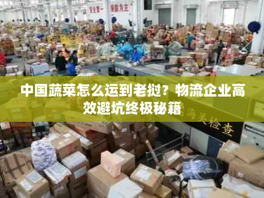 中国蔬菜怎么运到老挝？物流企业高效避坑终极秘籍