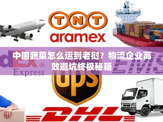 中国蔬菜怎么运到老挝？物流企业高效避坑终极秘籍