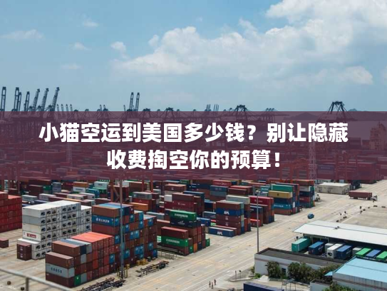 小猫空运到美国多少钱？别让隐藏收费掏空你的预算！