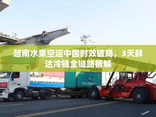 越南水果空运中国时效破局，3天鲜达冷链全链路拆解