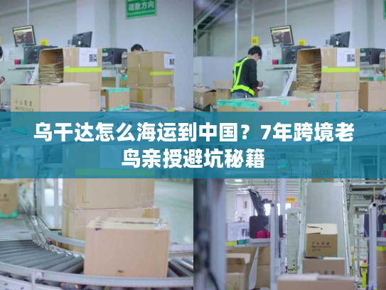 乌干达怎么海运到中国？7年跨境老鸟亲授避坑秘籍