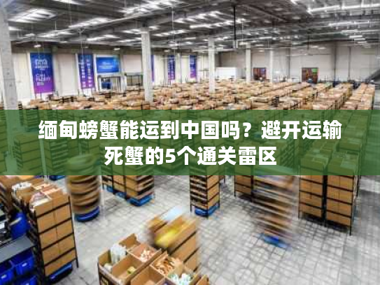 缅甸螃蟹能运到中国吗？避开运输死蟹的5个通关雷区