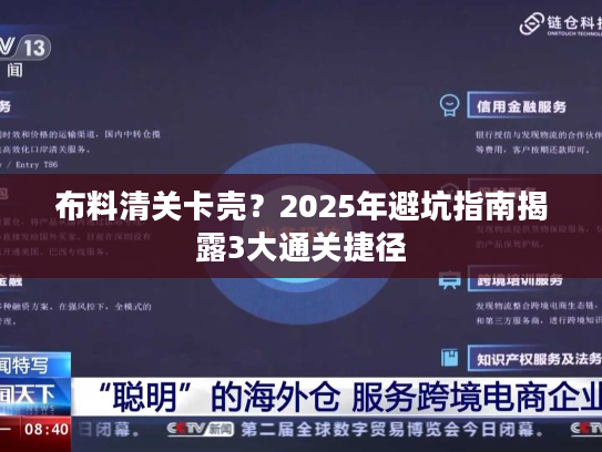 布料清关卡壳？2025年避坑指南揭露3大通关捷径
