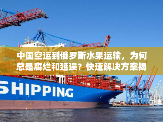 中国空运到俄罗斯水果运输，为何总是腐烂和延误？快速解决方案揭秘