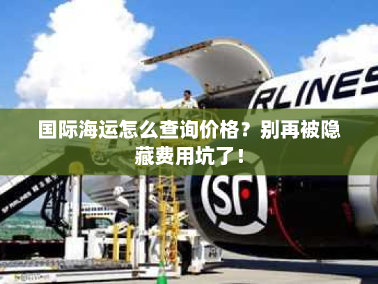 国际海运怎么查询价格?别再被隐藏费用坑了! 国际海运怎么查询价格?别再被隐藏费用坑了!