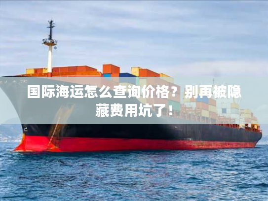 国际海运怎么查询价格？别再被隐藏费用坑了！