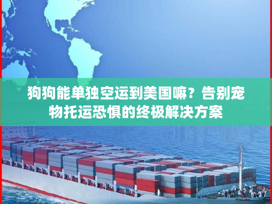 狗狗能单独空运到美国嘛？告别宠物托运恐惧的终极解决方案