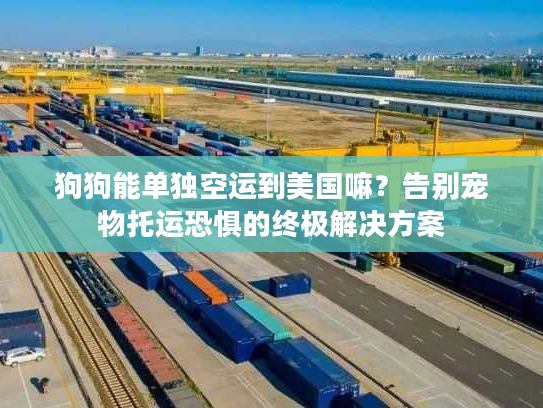 狗狗能单独空运到美国嘛？告别宠物托运恐惧的终极解决方案