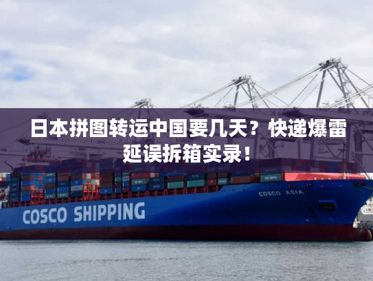 日本拼图转运中国要几天？快递爆雷延误拆箱实录！