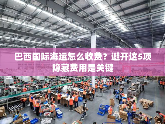 巴西国际海运怎么收费？避开这5项隐藏费用是关键