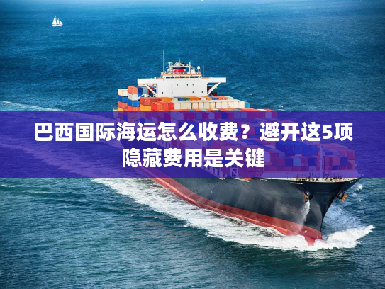 巴西国际海运怎么收费？避开这5项隐藏费用是关键