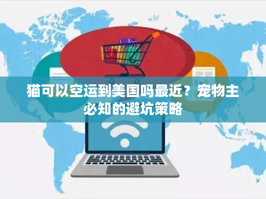 猫可以空运到美国吗最近？宠物主必知的避坑策略