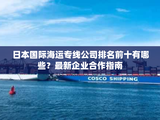 日本国际海运专线公司排名前十有哪些？最新企业合作指南
