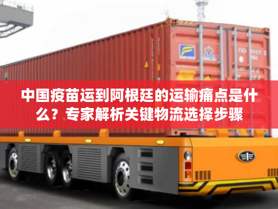 中国疫苗运到阿根廷的运输痛点是什么？专家解析关键物流选择步骤