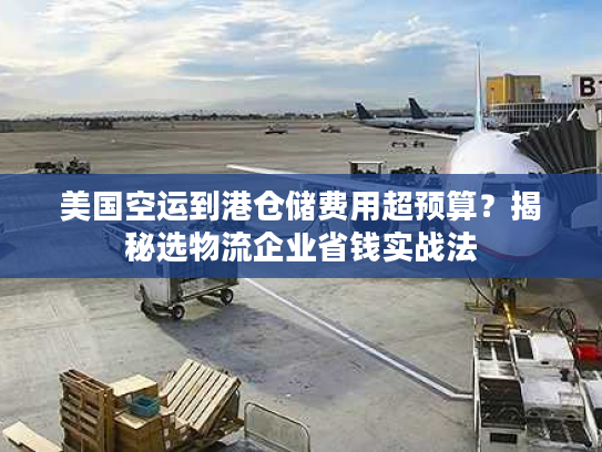美国空运到港仓储费用超预算？揭秘选物流企业省钱实战法