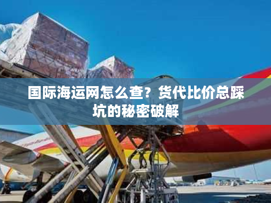 国际海运网怎么查？货代比价总踩坑的秘密破解