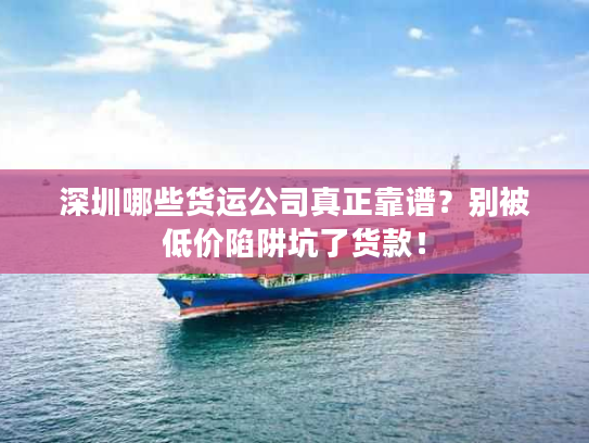 深圳哪些货运公司真正靠谱？别被低价陷阱坑了货款！