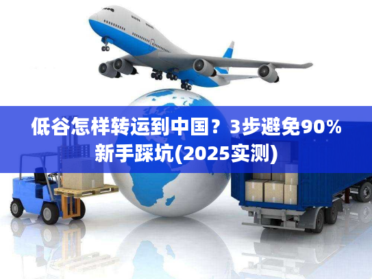 低谷怎样转运到中国？3步避免90%新手踩坑(2025实测)