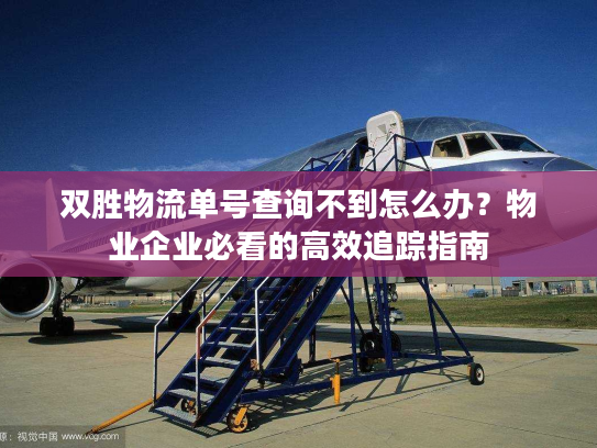 双胜物流单号查询不到怎么办？物业企业必看的高效追踪指南