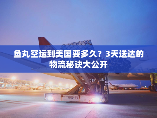 鱼丸空运到美国要多久？3天送达的物流秘诀大公开