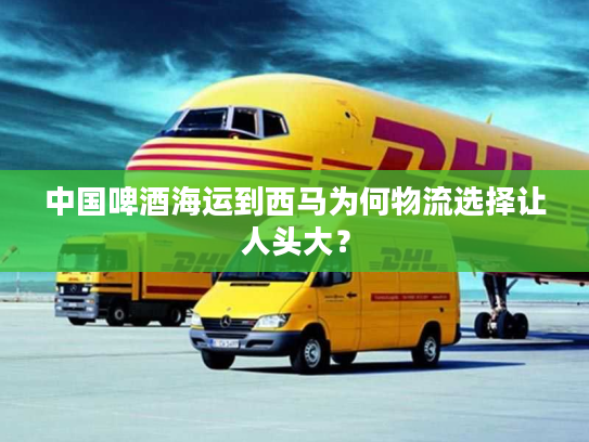 中国啤酒海运到西马为何物流选择让人头大？