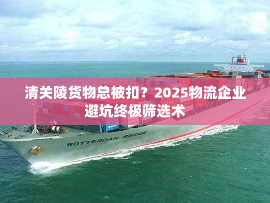 清关陵货物总被扣？2025物流企业避坑终极筛选术