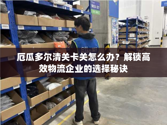 厄瓜多尔清关卡关怎么办？解锁高效物流企业的选择秘诀