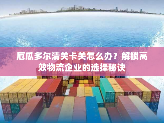 厄瓜多尔清关卡关怎么办？解锁高效物流企业的选择秘诀