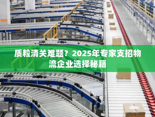 质粒清关难题？2025年专家支招物流企业选择秘籍