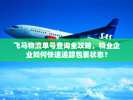 飞马物流单号查询全攻略,物业企业如何快速追踪包裹状态? 飞马物流单号查询全攻略,物业企业如何快速追踪包裹状态?