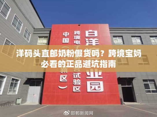 洋码头直邮奶粉假货吗？跨境宝妈必看的正品避坑指南