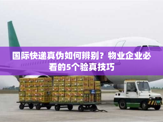 国际快递真伪如何辨别?物业企业必看的5个验真技巧 国际快递真伪如何辨别?物业企业必看的5个验真技巧