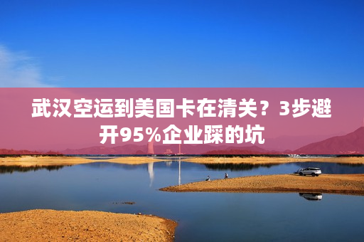 武汉空运到美国卡在清关？3步避开95%企业踩的坑