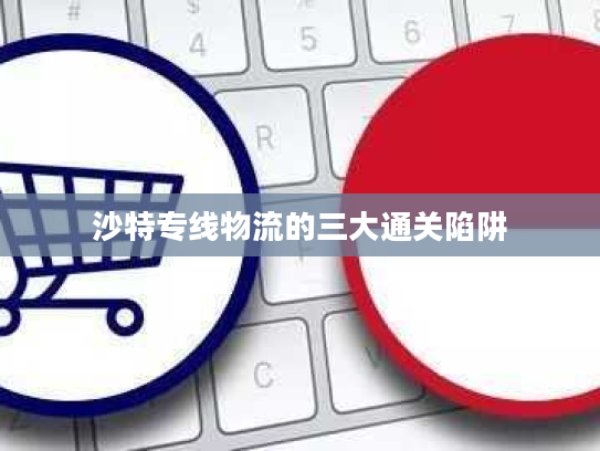 沙特专线物流的三大通关陷阱