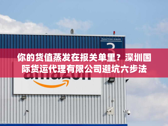 你的货值蒸发在报关单里？深圳国际货运代理有限公司避坑六步法