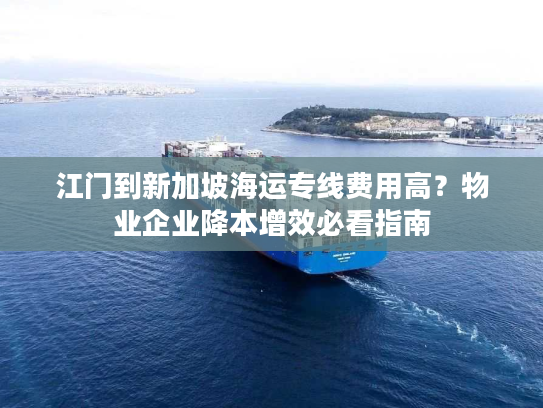 江门到新加坡海运专线费用高?物业企业降本增效必看指南 江门到新加坡海运专线费用高?物业企业降本增效必看指南