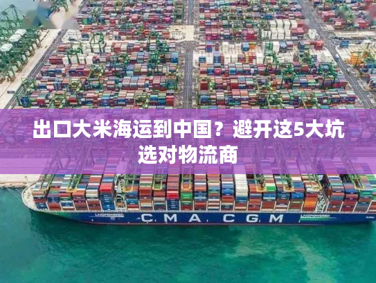 出口大米海运到中国？避开这5大坑选对物流商