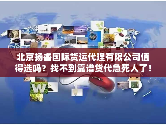 北京扬睿国际货运代理有限公司值得选吗？找不到靠谱货代急死人了！