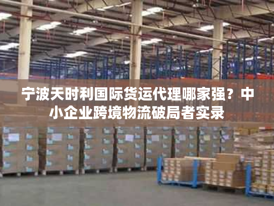 宁波天时利国际货运代理哪家强？中小企业跨境物流破局者实录