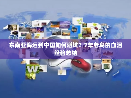 东南亚海运到中国如何避坑？7年老鸟的血泪经验总结