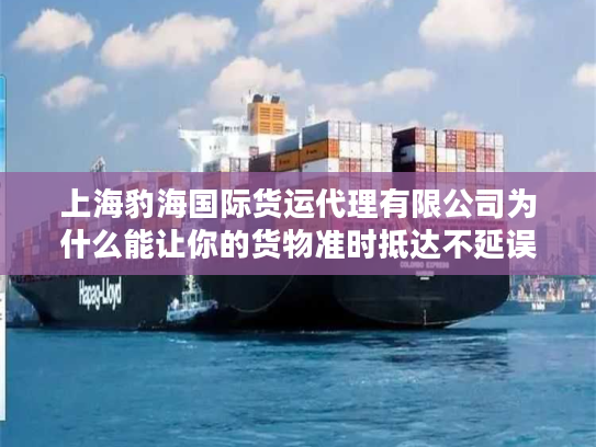 上海豹海国际货运代理有限公司为什么能让你的货物准时抵达不延误？