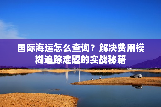 国际海运怎么查询？解决费用模糊追踪难题的实战秘籍