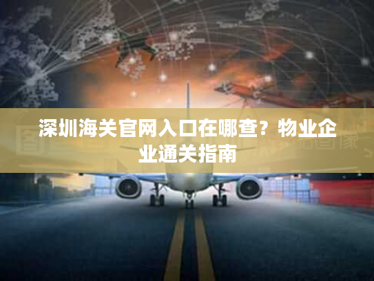 深圳海关官网入口在哪查？物业企业通关指南