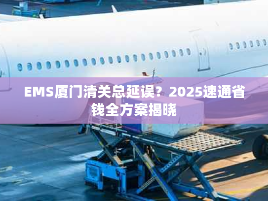 EMS厦门清关总延误？2025速通省钱全方案揭晓